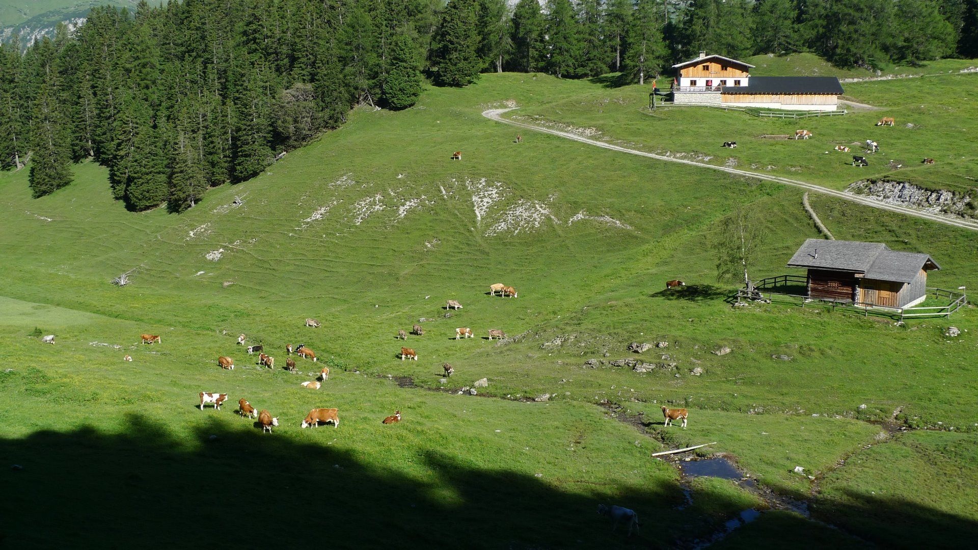 Muthenaualm (Nassereither Alm) Nr. 610