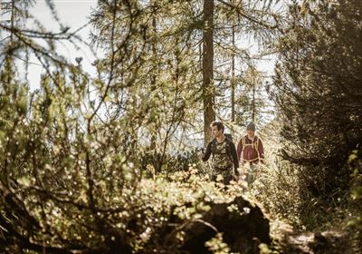 2018-Wandern-Bergsteigen-Tarrenz-Sinnesbrunn-Alpleskopf-web-©Rudi Wyhlidal (135).jpg