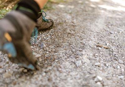 2018-Wandern-Hoch-Imst-Almzoo-Latschenhütte-web-©Rudi Wyhlidal (13).jpg