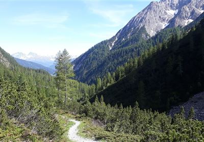 20190624_163412.jpg
