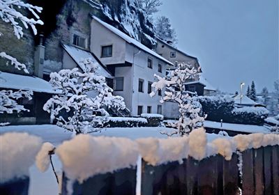 20231125_072903.jpg