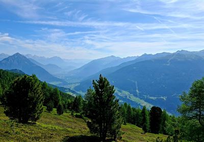 20250618_102008.jpg