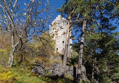 Falterstein - Kronburg.jpg
