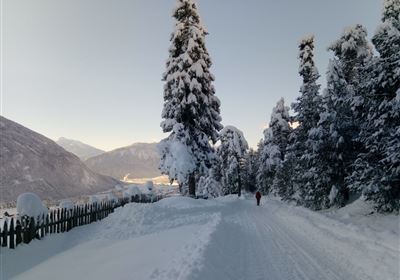 IMG_20210116_094422.jpg