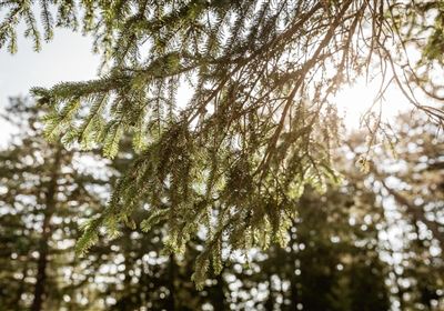 imst_tourismus_wandern_wyhlidal_west_0073.jpg