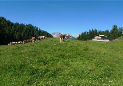 Muthenaualm.JPG