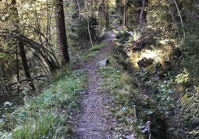 Oberfeldwaal Roppen 1.gpx.jpg