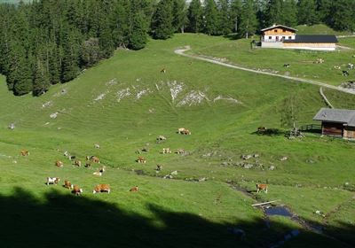 P1000510.JPG