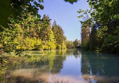 Starkenberger See.JPG