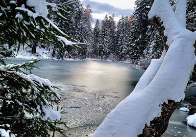 Starkenbergersee (6).jpg