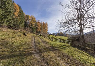 WF_Imst_T04_IMG_01_4884_Durner.jpg