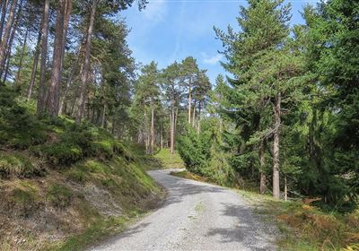 WF_Imst_T10_IMG_01_6585_Plott.jpg