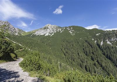 WF_Imst_T21_IMG_01_7981_Durner.jpg