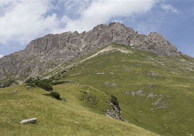 WF_Imst_T25_IMG_01_8973_Durner.jpg