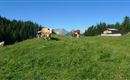 2010-Wandern-Hütten und Almen-Muthenau Alm-©Unbekannt (6).JPG