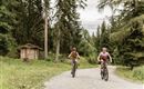 2018-Radfahren-Mountainbike-Imsterberg-Venetalm-web-©Rudi Wyhlidal (73).jpg