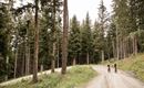 2018-Radfahren-Mountainbike-Imsterberg-Venetalm-web-©Rudi Wyhlidal (89).jpg