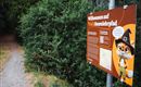 2026-Tarrenz-Hexenlehrpfad ©Imst Tourismus-3.jpg