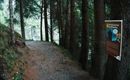 2026-Tarrenz-Hexenlehrpfad ©Imst Tourismus-7.jpg