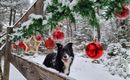 Foto Christkindlweg.jpg
