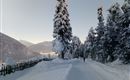 IMG_20210116_094422.jpg
