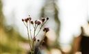 imst_tourismus_wandern_wyhlidal_west_0563.jpg