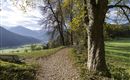 starkenberger_panoramaweg_etappe_4 (1).jpg