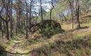 WF_Imst_T03_IMG_05_2811_Plott.jpg