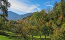 WF_Imst_T06_IMG_01_6137_Plott.jpg