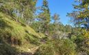 WF_Imst_T06_IMG_02_6185_Plott.jpg