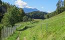 WF_Imst_T08_IMG_01_5808_Plott.jpg
