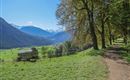 WF_Imst_T08_IMG_02_5822_Plott.jpg