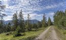 WF_Imst_T09_IMG_01_9005_Durner.jpg