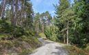 WF_Imst_T10_IMG_01_6585_Plott.jpg