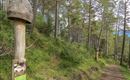 WF_Imst_T10_IMG_04_6850_Plott.jpg