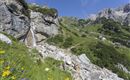 WF_Imst_T14_IMG_05_7573_Durner.jpg