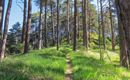 WF_Imst_T15_IMG_01_3285_Plott.jpg