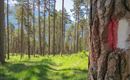 WF_Imst_T15_IMG_04_3489_Plott.jpg
