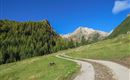 WF_Imst_T16_IMG_03_6986_Plott.jpg