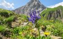 WF_Imst_T17_IMG_04_4607_Plott.jpg