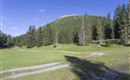 WF_Imst_T20_IMG_01_7811_Durner.jpg