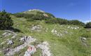 WF_Imst_T20_IMG_03_7865_Durner.jpg