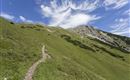WF_Imst_T21_IMG_02_8003_Durner.jpg