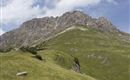 WF_Imst_T25_IMG_01_8973_Durner.jpg