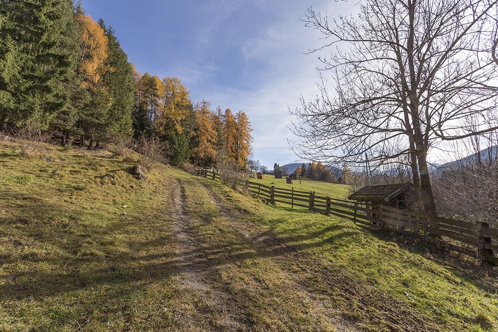 Fabriksteig