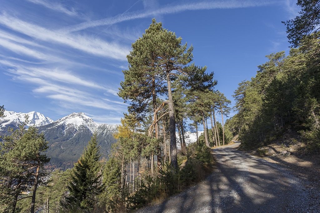 Geolehrpfad – Karröster Alm