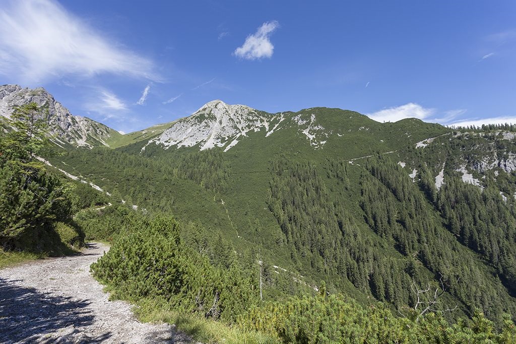 Alpleskopf